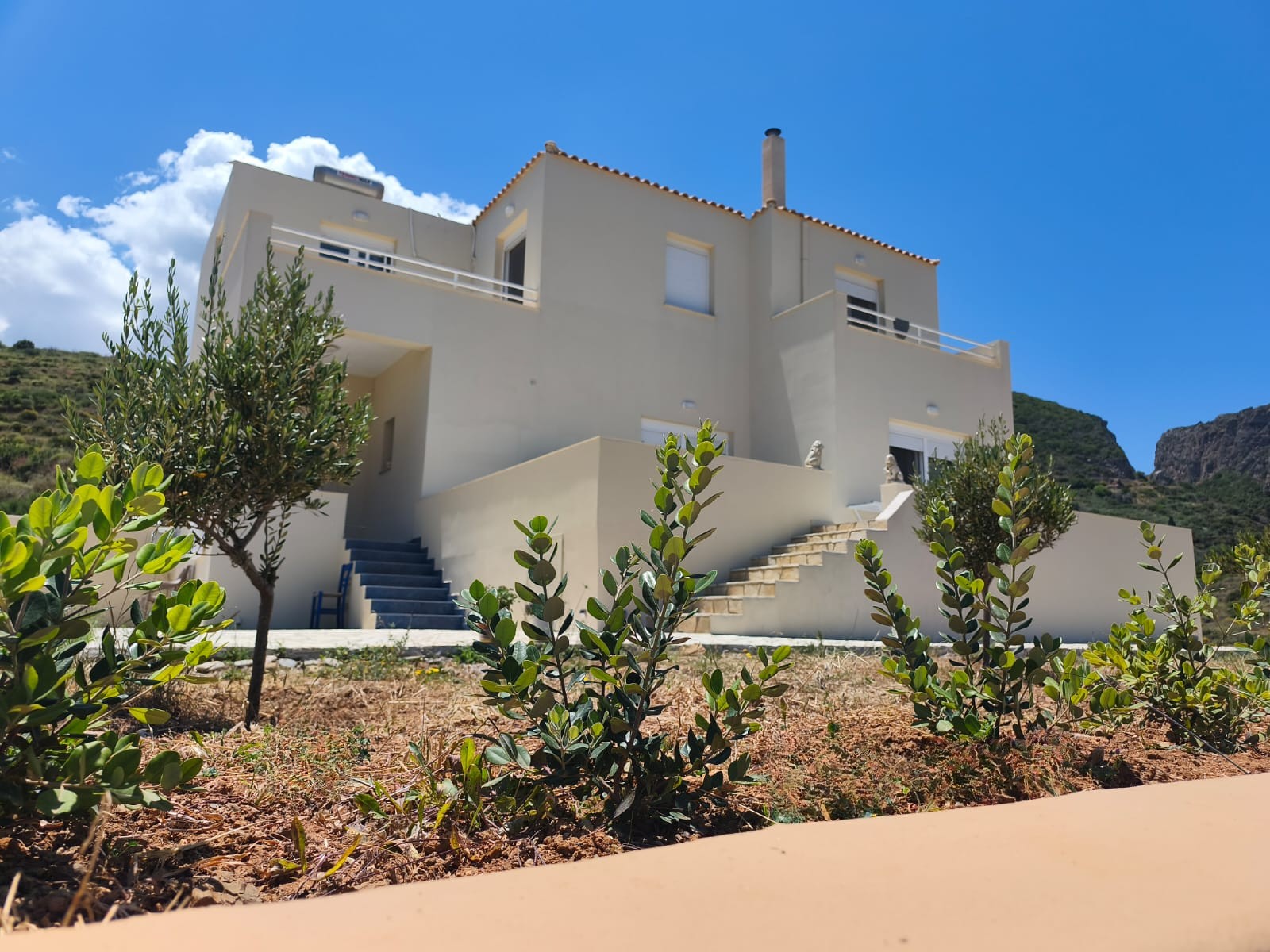 Villa with olive grove