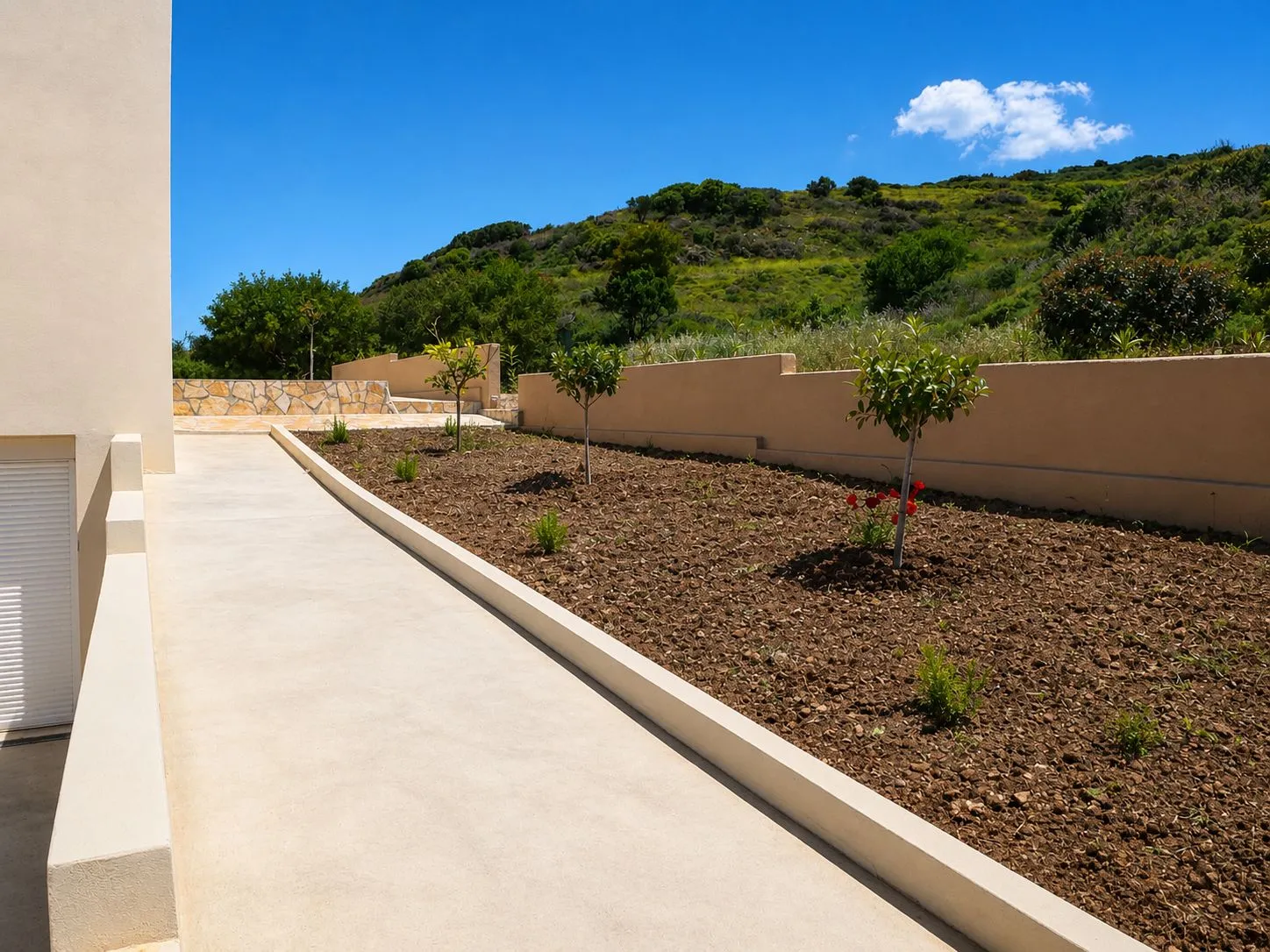 Garden & Exterior