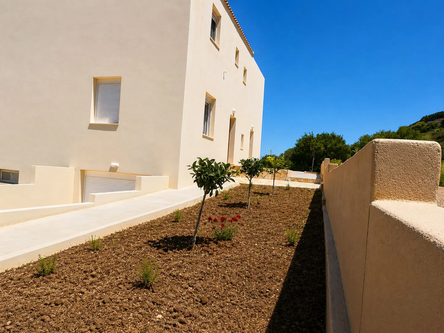 Garden & Exterior